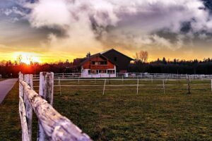 Efficiënt energiebeheer bij melkveehouderij